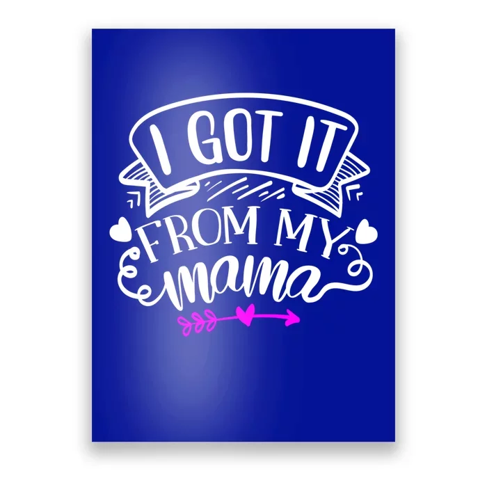 I Got It From My Mama Gift Poster