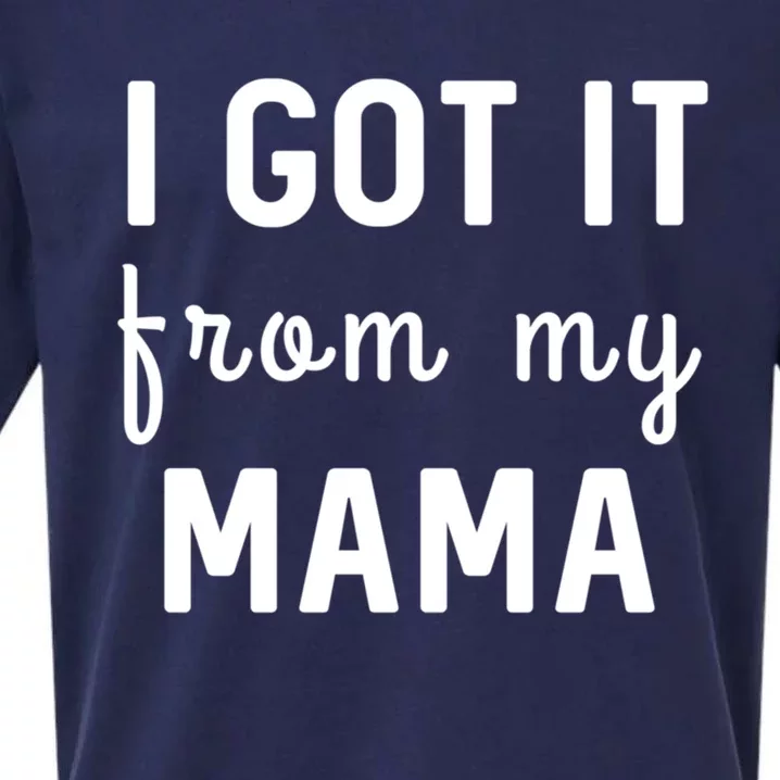 I Got It From My Mama Funny Stategift Sueded Cloud Jersey T-Shirt