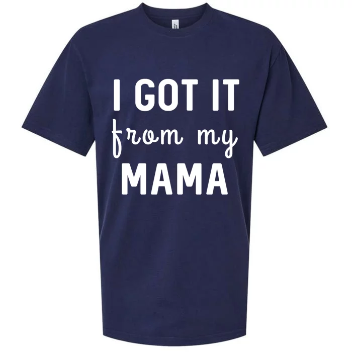 I Got It From My Mama Funny Stategift Sueded Cloud Jersey T-Shirt