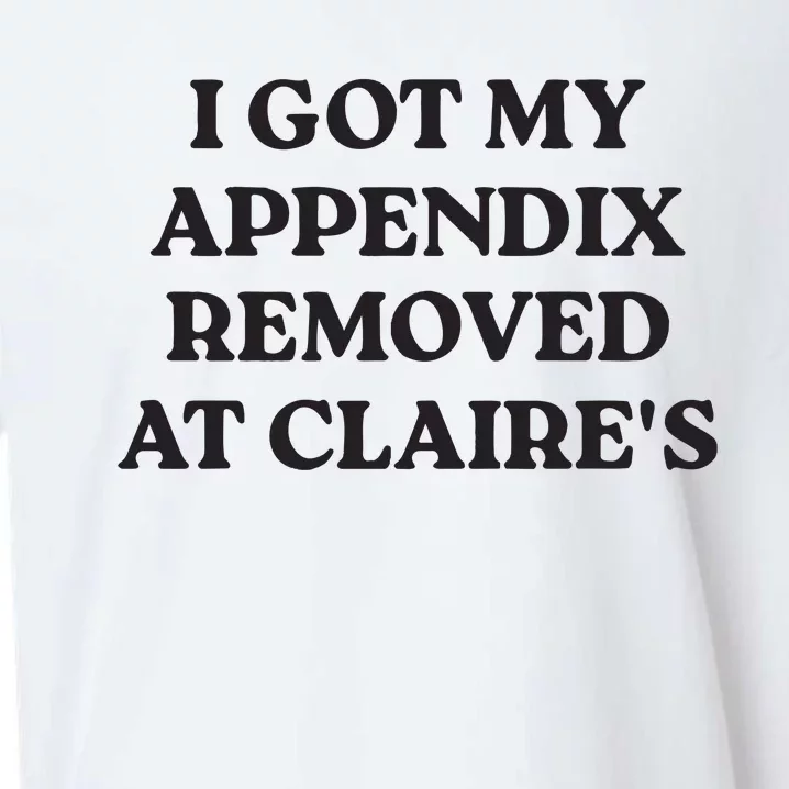 I Got My Appendix Removed At Claires Sueded Cloud Jersey T-Shirt