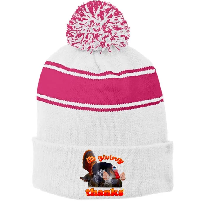 It’S Giving Thanks Turkey Thanksgiving Stripe Pom Pom Beanie