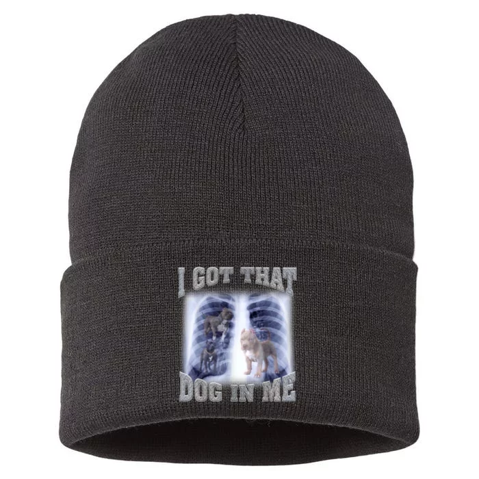 I Got That Dog In Me Xray Meme Sustainable Knit Beanie