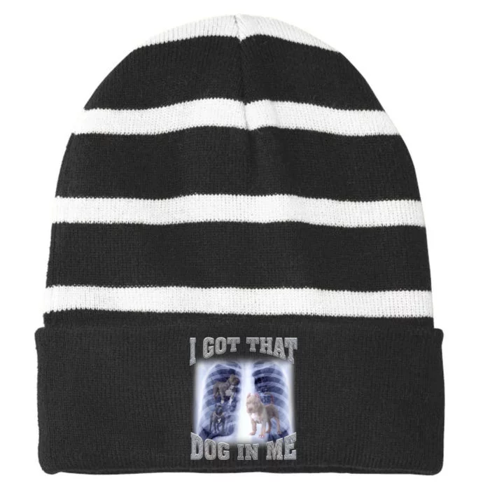 I Got That Dog In Me Xray Meme Striped Beanie with Solid Band