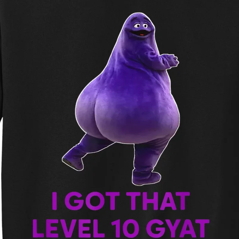 I Got That Level 10 Gyat Gyatt Meme Funny Meme Sweatshirt