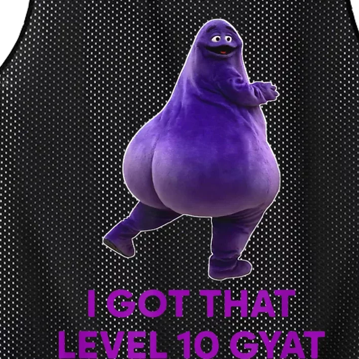 I Got That Level 10 Gyat Gyatt Meme Funny Meme Mesh Reversible Basketball Jersey Tank