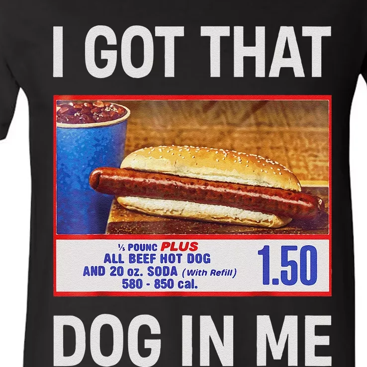 I Got That Dog In Me Funny Hotdogs Combo 4th Of July Dad Mom Gift V-Neck T-Shirt