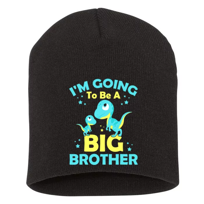 I'm Going To Be A Big Brother Cute Dinosaur Short Acrylic Beanie