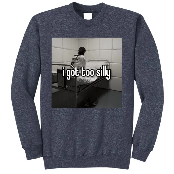 I Got Too Silly Funny Meme Sweatshirt