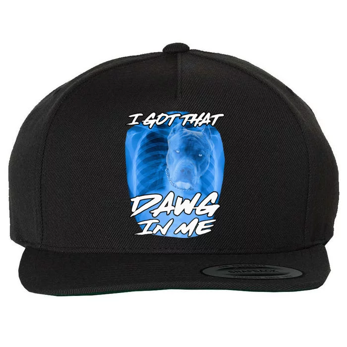 I Got That Dawg In Me Xray Pitbull Ironic Meme Viral Quote Wool Snapback Cap