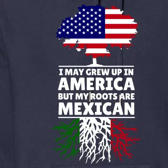 I Grew Up In America But My Roots Are Mexican Premium Hoodie