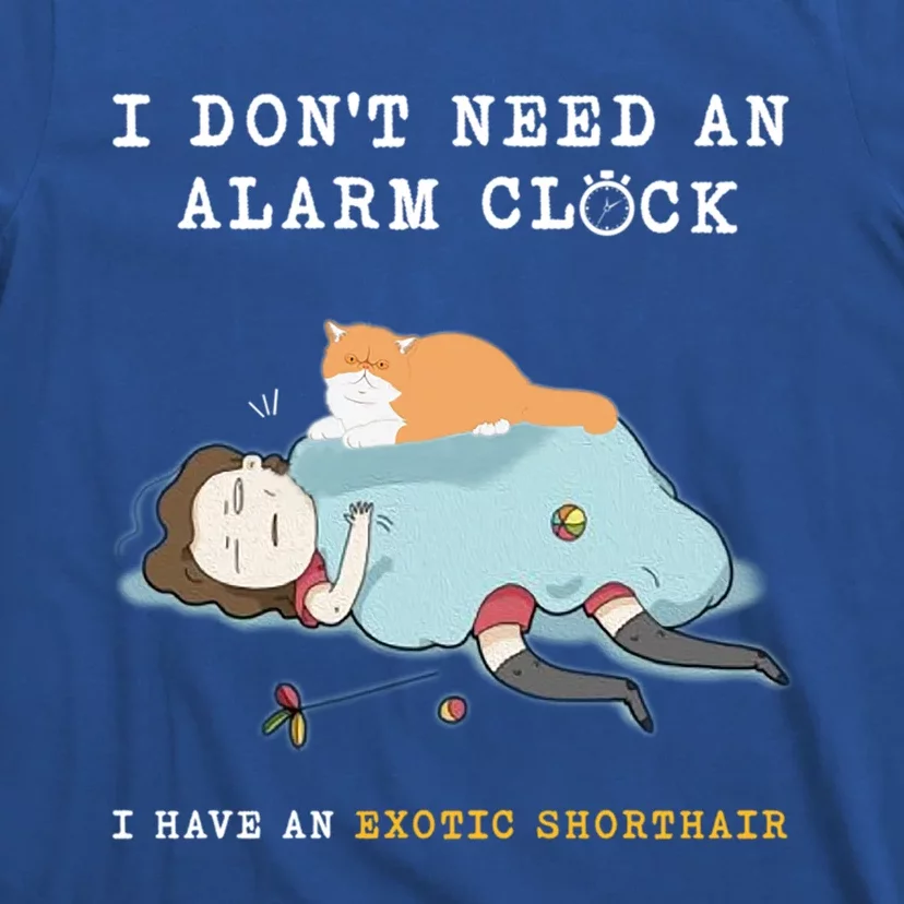 I Have An Exotic Shorthair Funny Cat Wake Me Up Funny Gift T-Shirt