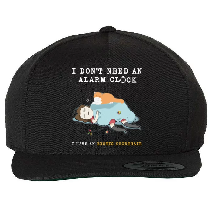 I Have An Exotic Shorthair Funny Cat Wake Me Up Gift Wool Snapback Cap