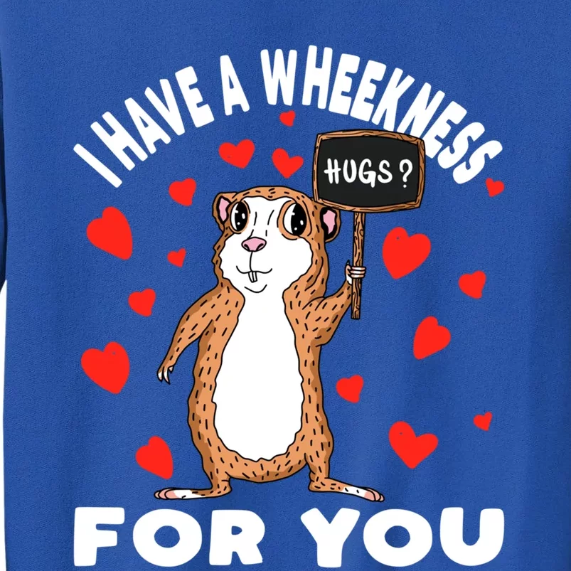 I Have A Weakness For You Guinea Pig Meaningful Gift Sweatshirt