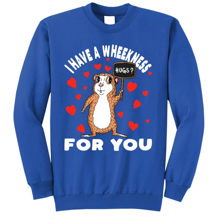 I Have A Weakness For You Guinea Pig Meaningful Gift Sweatshirt