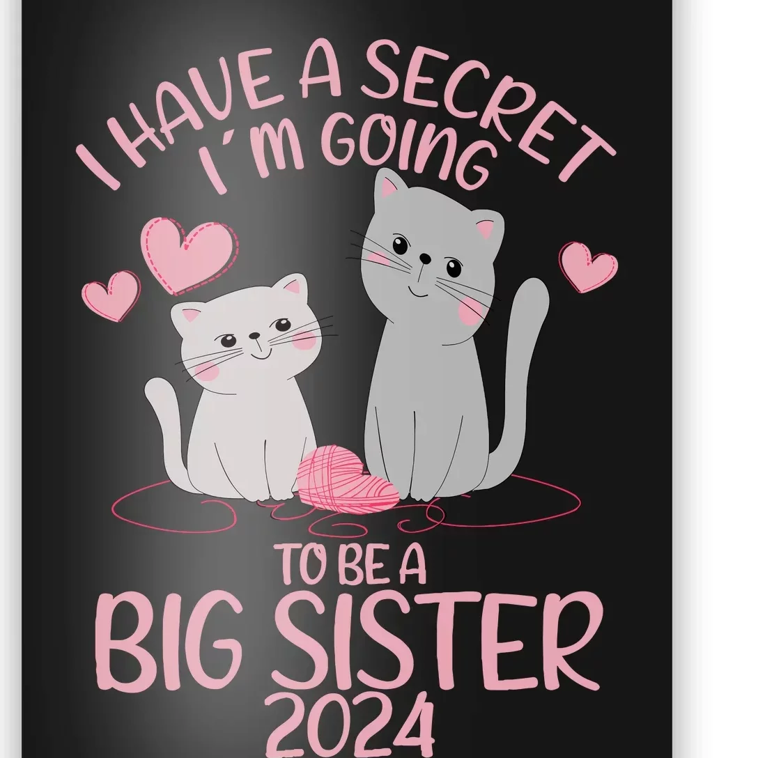 I Have A Secret I´M Going To Be A Big Sister 2024 Poster