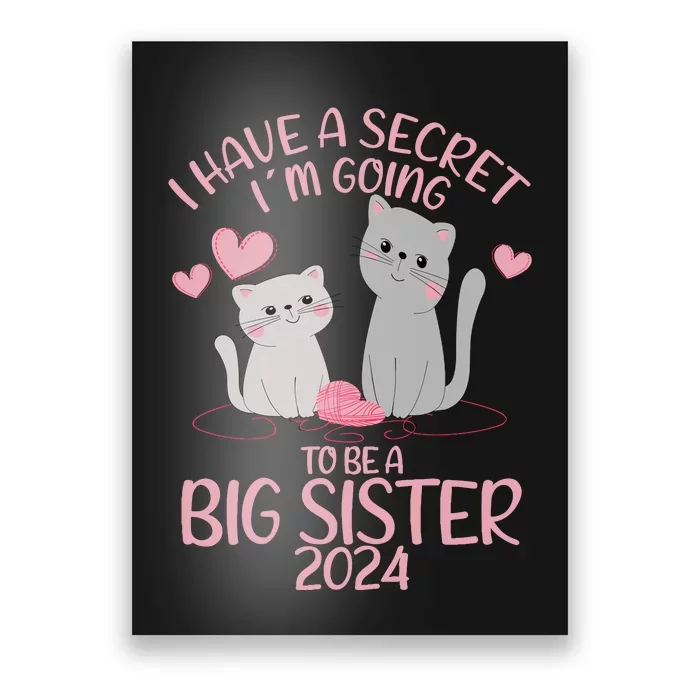 I Have A Secret I´M Going To Be A Big Sister 2024 Poster