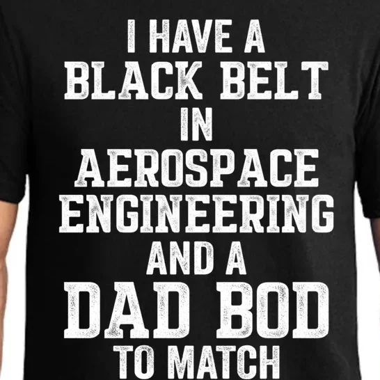 I Have Black Belt In Aerospace Engineering Dad Bod To Match Gift Pajama Set