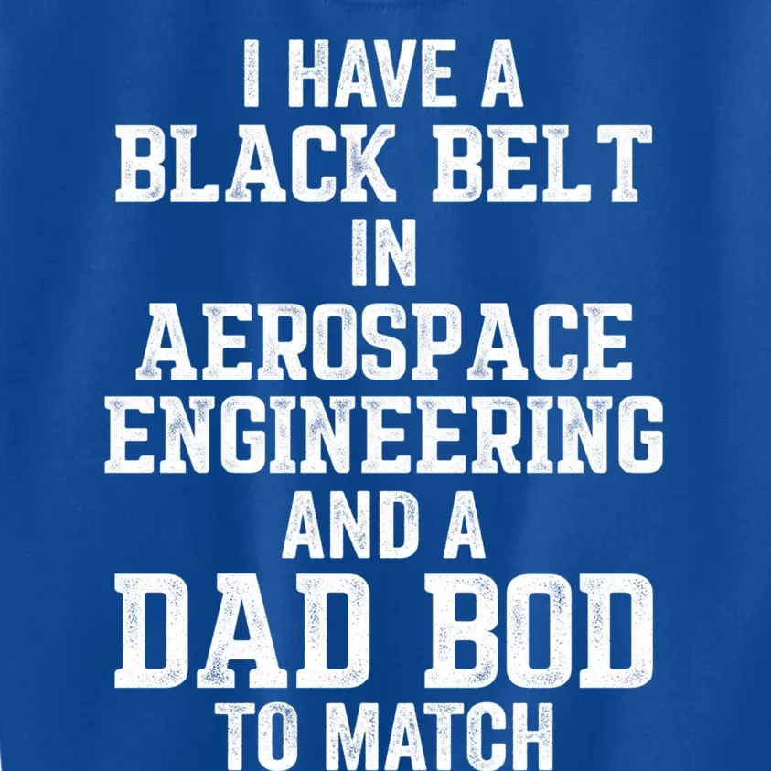 I Have Black Belt In Aerospace Engineering Dad Bod To Match Gift Kids Sweatshirt