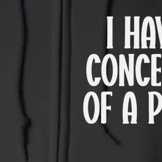 I Have Concepts Of A Plan Full Zip Hoodie