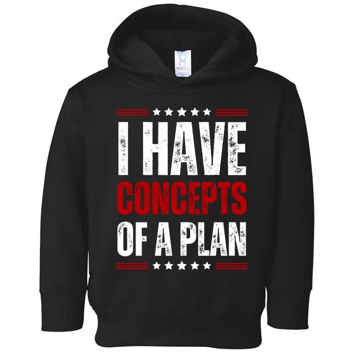 I Have Concepts Of A Plan Toddler Hoodie