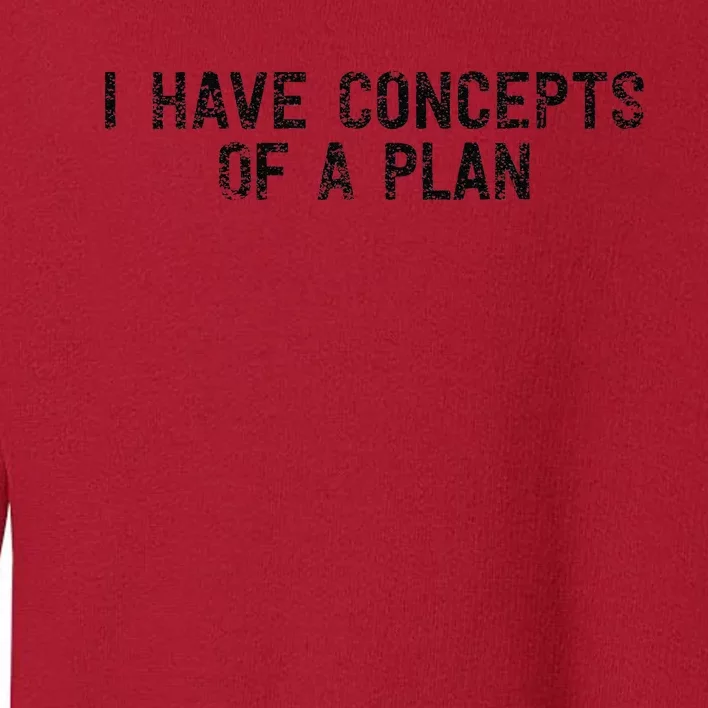 I Have Concepts Of A Plan Political 2024 Gift Toddler Sweatshirt