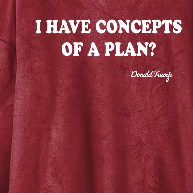 I Have Concepts Of A Plan Political 2024 Hooded Wearable Blanket