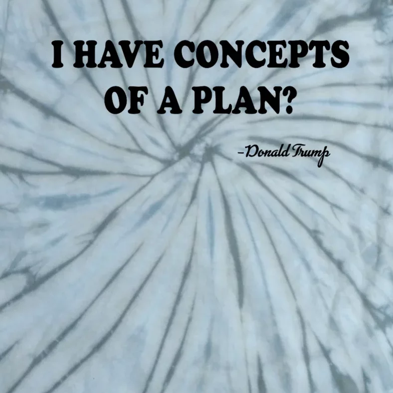 I Have Concepts Of A Plan Political 2024 Tie-Dye T-Shirt