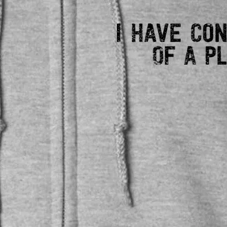 I Have Concepts Of A Plan Political 2024 Full Zip Hoodie