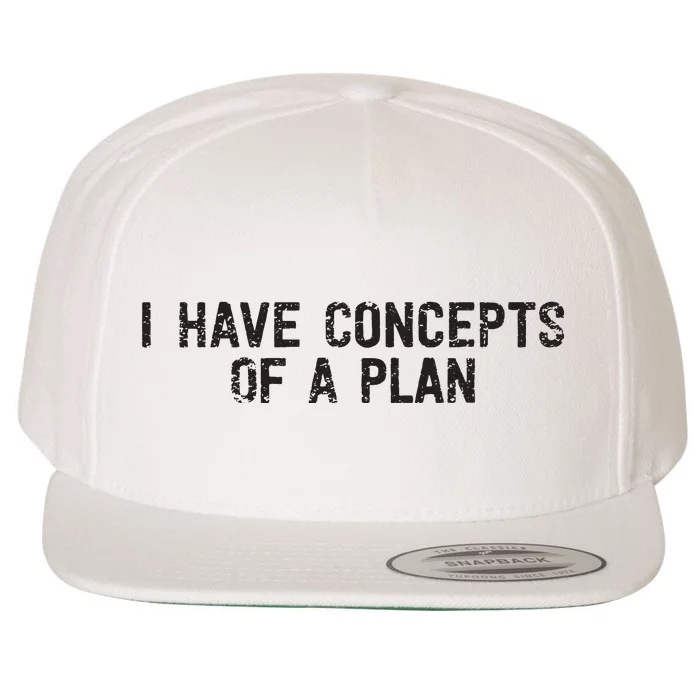 I Have Concepts Of A Plan Political 2024 Wool Snapback Cap