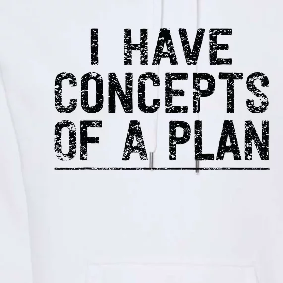 I Have Concepts Of A Plan Political 2024 Premium Hoodie