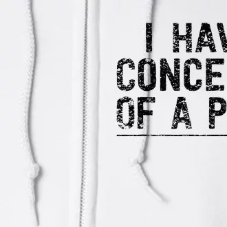 I Have Concepts Of A Plan Political 2024 Full Zip Hoodie