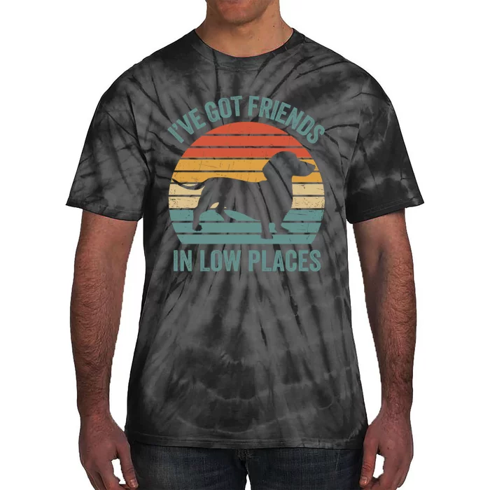 I Have Got Friends In Low Places Wiener Dog Vintage Tie-Dye T-Shirt