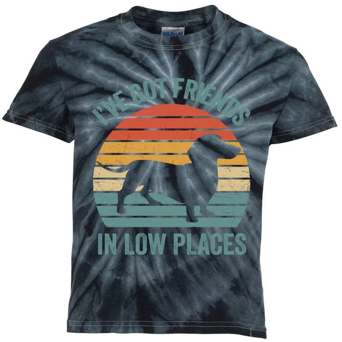 I Have Got Friends In Low Places Wiener Dog Vintage Kids Tie-Dye T-Shirt