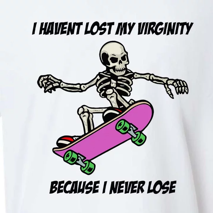 I Havent Lost My Virginity Because I Never Lose Sueded Cloud Jersey T-Shirt