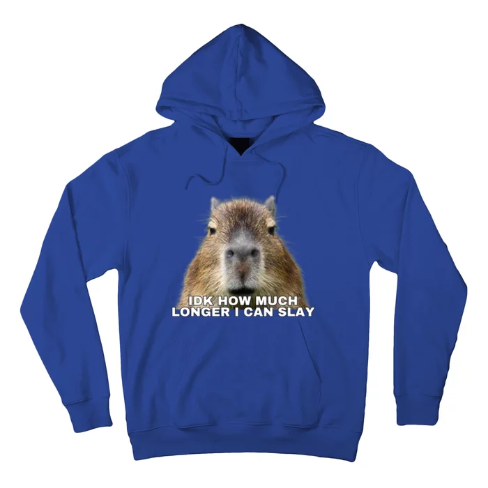 Idk How Much Longer I Can Slay Capybara Sarcastic Dank Meme Gifts Hoodie