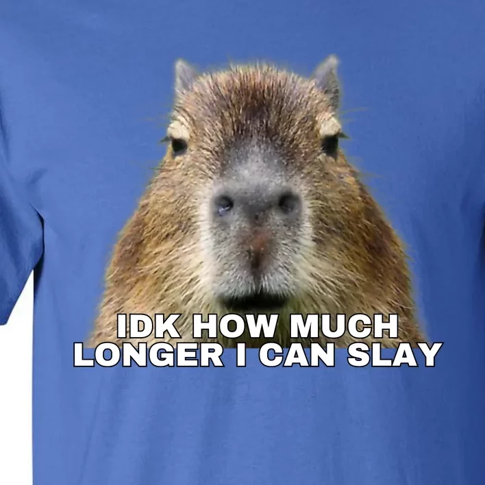 Idk How Much Longer I Can Slay Capybara Sarcastic Dank Meme Gifts Tall T-Shirt