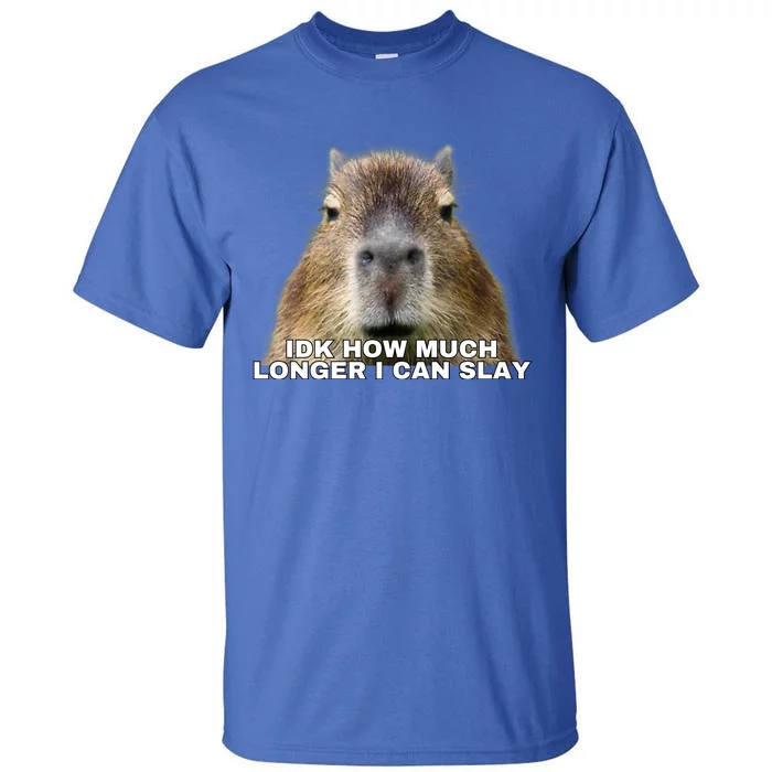 Idk How Much Longer I Can Slay Capybara Sarcastic Dank Meme Gifts Tall T-Shirt