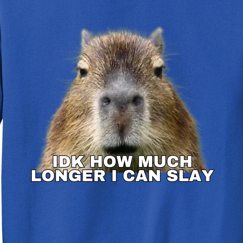 Idk How Much Longer I Can Slay Capybara Sarcastic Dank Meme Gifts Tall Sweatshirt