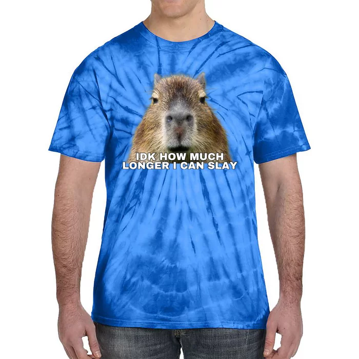 Idk How Much Longer I Can Slay Capybara Sarcastic Dank Meme Gifts Tie-Dye T-Shirt