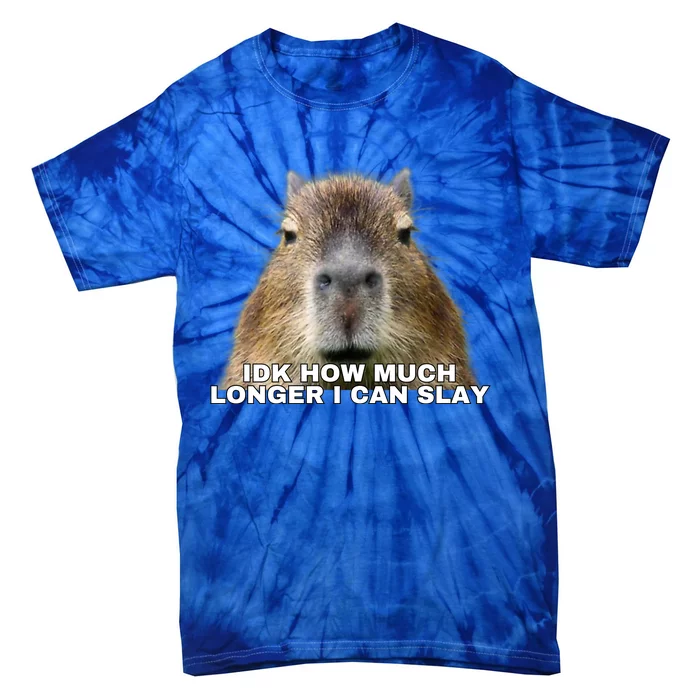 Idk How Much Longer I Can Slay Capybara Sarcastic Dank Meme Gifts Tie-Dye T-Shirt