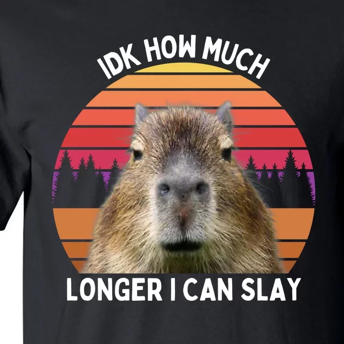 Idk How Much Longer I Can Slay Capybara Sarcastic Dank Meme Gifts Tall T-Shirt