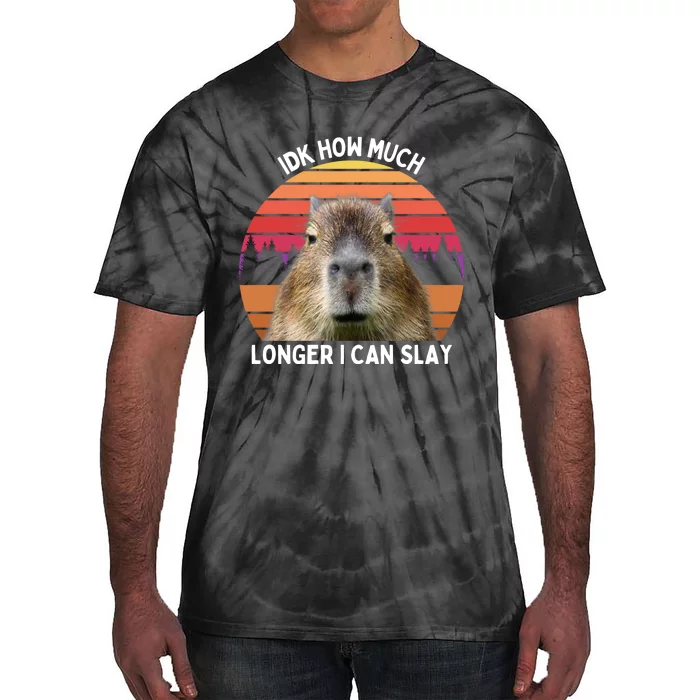 Idk How Much Longer I Can Slay Capybara Sarcastic Dank Meme Gifts Tie-Dye T-Shirt