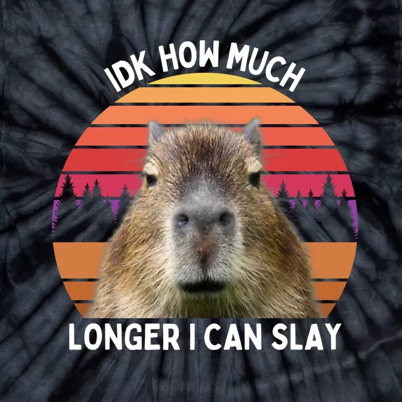 Idk How Much Longer I Can Slay Capybara Sarcastic Dank Meme Gifts Tie-Dye T-Shirt