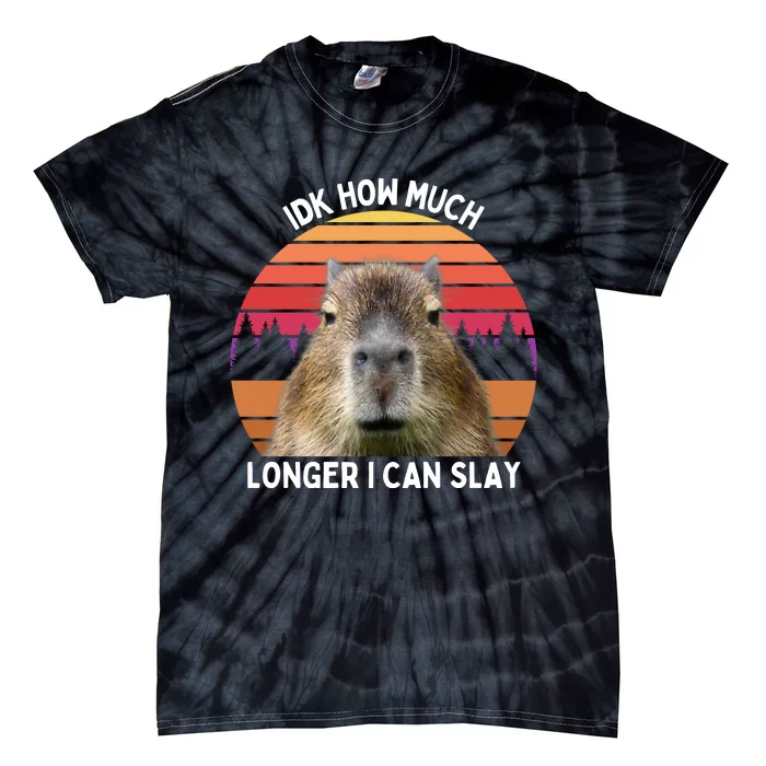 Idk How Much Longer I Can Slay Capybara Sarcastic Dank Meme Gifts Tie-Dye T-Shirt