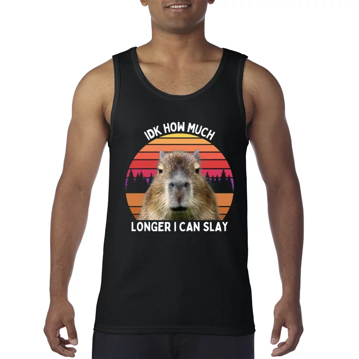 Idk How Much Longer I Can Slay Capybara Sarcastic Dank Meme Gifts Tank Top