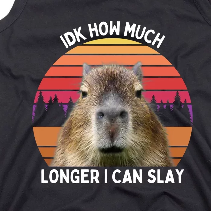 Idk How Much Longer I Can Slay Capybara Sarcastic Dank Meme Gifts Tank Top