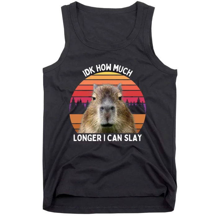 Idk How Much Longer I Can Slay Capybara Sarcastic Dank Meme Gifts Tank Top