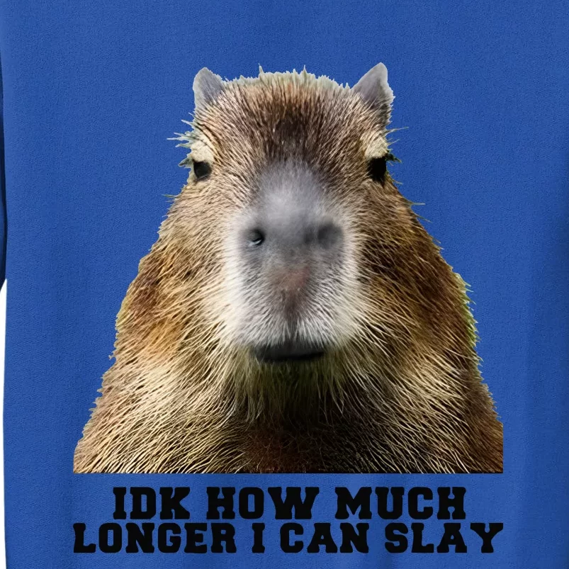 Idk How Much Longer I Can Slay Capybara Sarcastic Dank Tall Sweatshirt