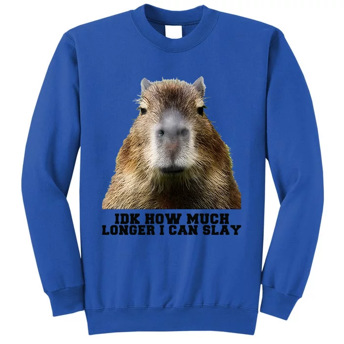 Idk How Much Longer I Can Slay Capybara Sarcastic Dank Tall Sweatshirt