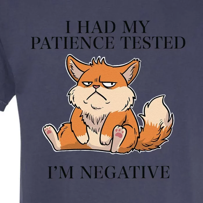 I Had My Patience Tested Im Negative Funny Cat Garment-Dyed Heavyweight T-Shirt